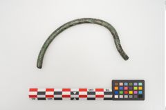 Foto von Bronzehalsring (NHMW-PRAE-024330)